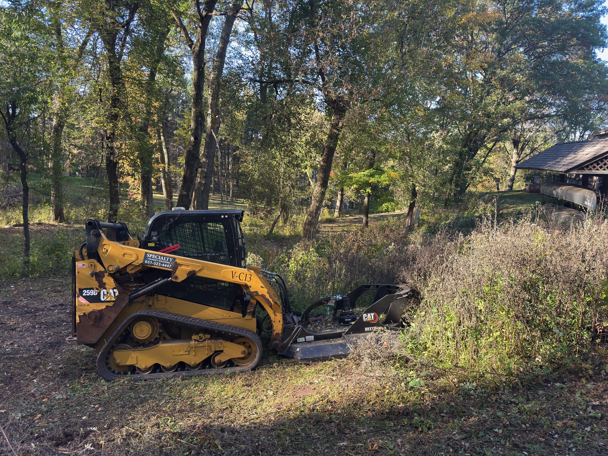 SPS CAT tracked loader with a rotary brush mower cutting woodland overgrowth.