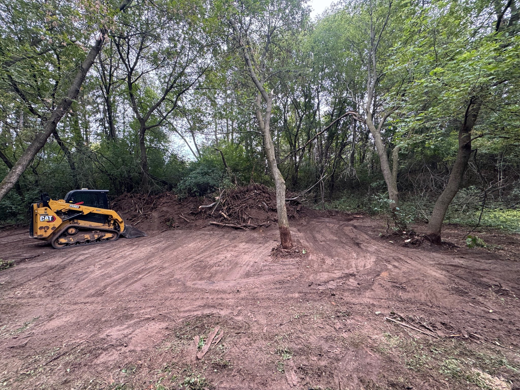 Tracked loader beside cleared ground and piles of removed brush on a wooded property.