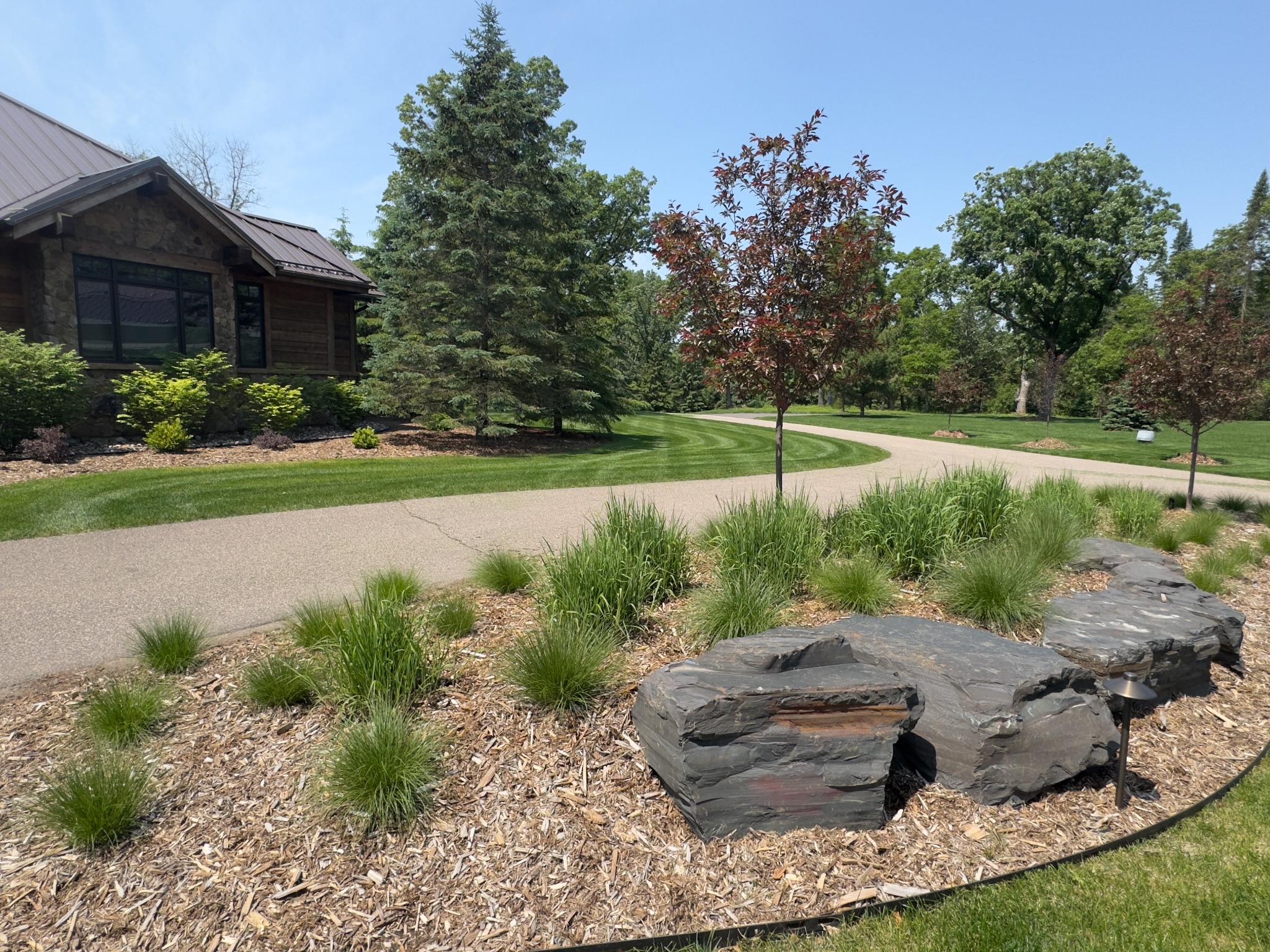 Mulched landscape bed with ornamental grasses, stone boulders, and young trees beside a curved driveway.