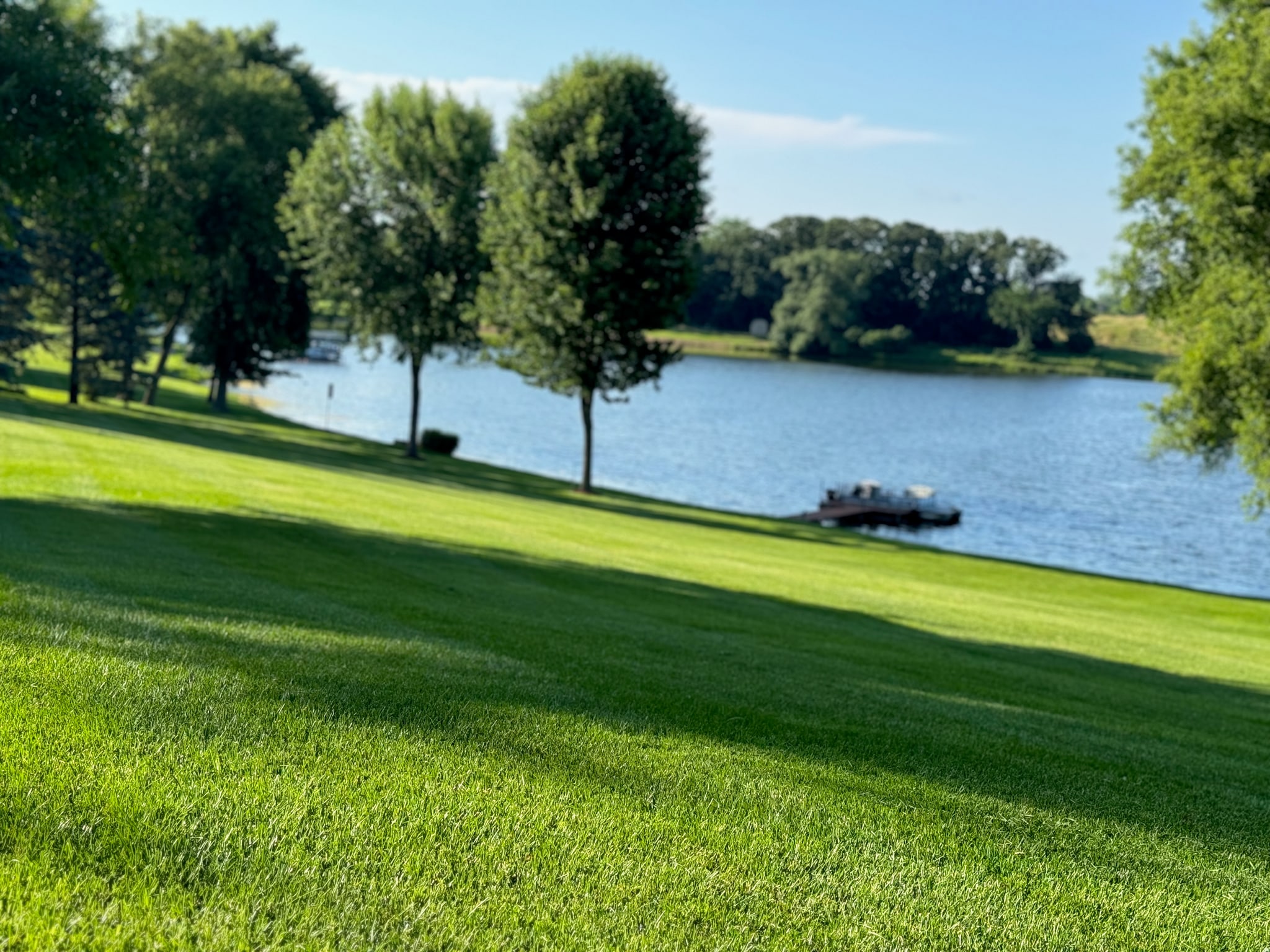 Maintained lakefront lawn with clean mowing lines beside mature trees.