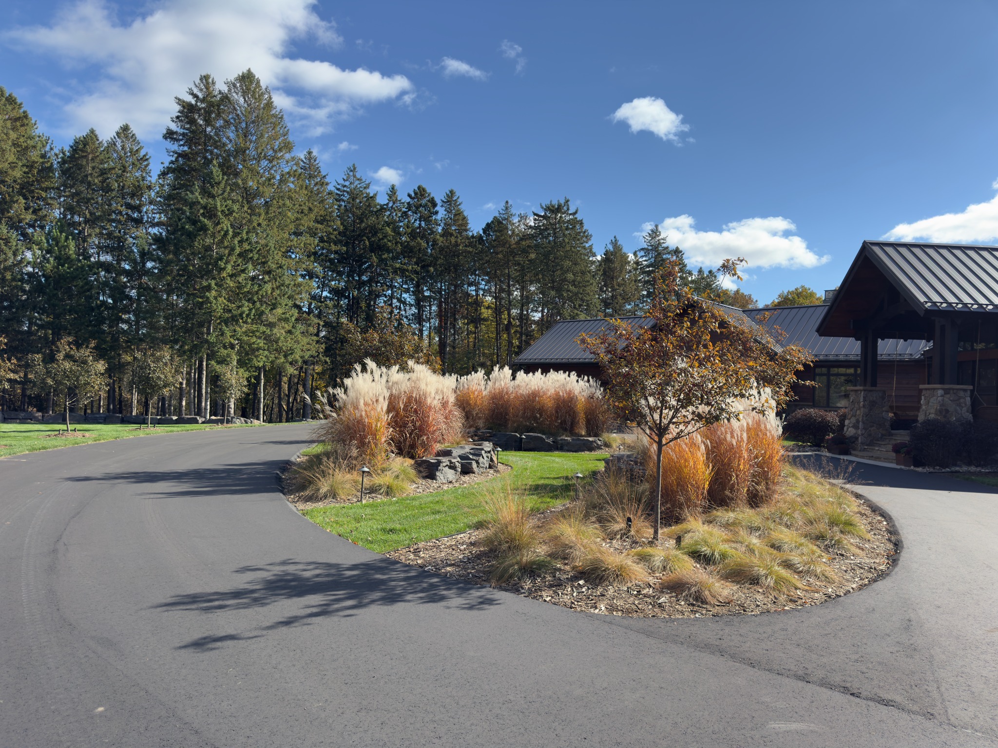 Autumn ornamental grasses and trees in a mulched landscape bed beside a curved driveway and home.